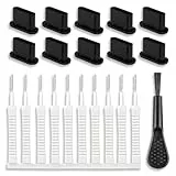 SGERUFZ 22 Kit de Limpieza USB y Tipo C para Móviles, Cepillos de Limpieza para Puertos de Teléfono, Conector Antipolvo de Metal, Cepillos para Altavoces y Auriculares, Protector de Polvo
