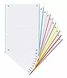 Hojas cuadriculadas A4 Recambio Oxford, School, 10 Banda colores, 160 Hojas, Cuadrícula 5x5, Multicolor