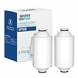 GOLDEN ICEPURE Elemento de filtro de ducha de agua – Acondicionador de ducha online compatible con Philips Filtro de ducha AWP175: AWP1775WH / AWP1775CH, paquete de 2 unidades