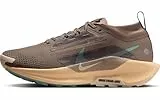 NIKE Pegasus Trail 5 Gore-Tex Mink Brown/Cannon-Orange Chalk 40 EU