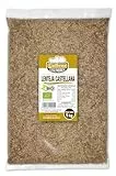 Guillermo | Lenteja castellana BIO - Bolsa 1kg. | 100% ecológico | Rico en proteínas | Bajo contenido en grasas | Perfecto para deportistas