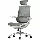 SIHOO M59AS Silla de Oficina Ergonómica con Reposabrazos 3D Plegables, Respaldo Doble y Soporte Lumbar Dinámico, Silla de Malla para Oficina en Casa(Gris)