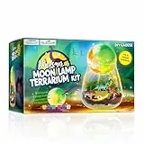 Dinosaurios Juguetes - Kit Terrario Dinosaurio para Niños con Pintura Lámpara Luna - Regalo de Cumpleaños Niños de 4 5 6 7 8-12 años -Kit de Manualidades para Niños-Juegos y Juguetes Educativos Niños