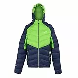 Regatta Dalent - Chaqueta acolchada ligera con capucha para hombre, aislada y repelente al agua, perfecta para exteriores, caminar, senderismo y camping