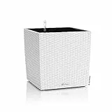 Lechuza Cottage - Cubeta de plantado, 30 x 30 x 30 cm, color blanco