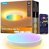 Govee Plafon LED Techo RGBIC, 38cm Lámpara Techo Inteligente, 4300lm Plafón LED Regulable 48,5W Trabajar con Matter, Alexa, Google Assistant, Luz Interior para Salón, Dormitorio, Cocina, Pasillo