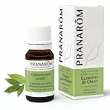 Pranarom Canela De China - Rama Con Hojas, Cinnamomum, 10 Mililitro
