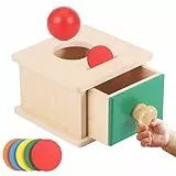 Starvortex Juguetes Montessori 1 2 3 Años, Caja de Permanencia Montessori para Niños y Niñas, Caja de Monedas de Madera Juegos Educativos 1-3 Años, Juguetes Madera Regalos para Niños y Niñas