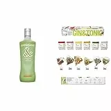 Ginebra premium Ampersand Ginebra sabor Melón 37.5º 70 cl + Pack de 6 infusiones, con 6 sabores, Nanopack & Gin&Tonic Te Tonic Experience