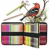 Zenacolor 72 - Lápiz de colores profesional, estuche de transporte, 72 lápices de colores, libro para colorear para niños y mandala, para adultos, lote de lápices de colores