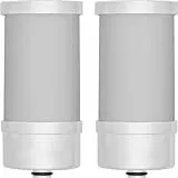 Vortopt Filtro de repuesto para agua del grifo T5, duración de 3 a 6 meses, reduce el cloro, el sabor y el olor (paquete de 2)