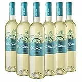 Pata Negra Sauvignon Blanc Vino Blanco D.O Rueda - Caja de 6 Botellas x 750 ml