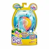 Little Live Pets - Tortugas Molonas Ripswirl, Mascota interactiva Que Nada en el Agua y Que se Mueve en Tierra como un Animal de Verdad, Juguete para niños y niñas Desde 5 años, Famosa (LPU08100)