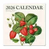 Grupo Erik Calendario 2026 pared Frutas - Almanaque pared 2026 : Planificador mensual Con espacio para Anotar, Ilustraciones y Fácil de colgar (30x30cm)
