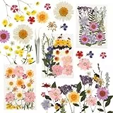 Set de 66 Flores prensadas, Ideales para Manualidades, Resina, Velas, Joyas, Scrapbooking y decoración con Elementos Naturales y Flores preservadas.