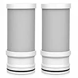 VORTOPT Repuesto certificado NSF para agua de grifo T1-ACF/T2-ACF T6-CTO, 3-6 meses de vida útil, reduce el cloro, el sabor y el olor T1/T2 T6-CTO filtro (paquete de 2)