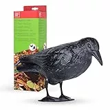 SWISSINNO Cuervo Repelente de Pájaros - Espanta Palomas -Respetuoso con los animales, decorativo y reutilizable