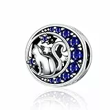 XWN Charms Abalorios Colgante para mujer, plata de ley 925, compatible con pulseras y collares Pandora, compatible con pulseras europeas para mujeres y niñas