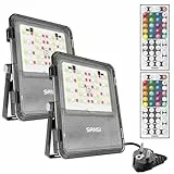 SANSI Foco LED RGB, 10W Proyector LED RGB Exterior IP66 Impermeable con Control Remoto, Temporización, 16 Colores, 6 Modos de Trabajo para Jardín Paisaje Patio Terraza - 2 Unidades
