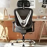 HOLLUDLE Silla de Oficina ergonómica con Soporte Lumbar 3D y reposabrazos 3D Ajustables – Diseño en Forma de V, Silla de Escritorio cómoda para Oficina y hogar, Negra