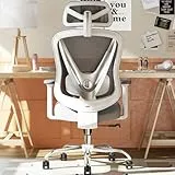 HOLLUDLE Silla de Oficina ergonómica con Soporte Lumbar 3D y reposabrazos 3D Ajustables – Diseño en Forma de V, Silla de Escritorio cómoda para Oficina y hogar, Blanca