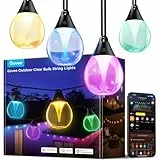 Govee Guirnalda de Luces Para Exteriores, 15m, RGBWIC Regulable, 16 Millones de Colores y 111 Modos de Escena, 80lm por LED, 25 000 Horas de Vida útil, Compatible con Alexa, Google Assistant y Matter