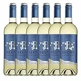Blume Blanco 'Sauvignon Blanc' - 6 botellas x 750ml - Total:4500ml