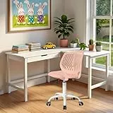 FurnitureR Silla Infantil de Escritorio Regulable en Altura, Colorida Silla Juvenil ergonómica con Respaldo y reposabrazos, Silla Infantil con 5 Ruedas, para niños de 3 a 10 años, Carga máxima 100 kg