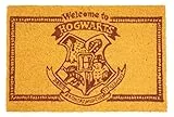 SD TOYS - Felpudo Entrada Harry Potter, de Fibra de Coco y Vinilo Antideslizante, Amarillo, 60 x 40 cm