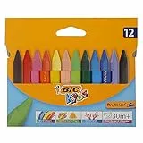 BIC Plastidecor, x12 - Lápiz de color (x12)