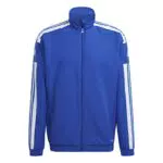 adidas SQ21 PRE JKT Jacket, Mens, Team Royal Blue/White