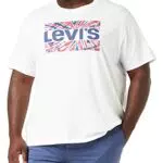 Levi's Ss Relaxed Fit Tee Camiseta Hombre Poster Caviar M -