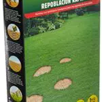 Semillas Batlle - Césped Repoblación Rápida - 1kg