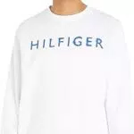 Tommy Hilfiger Hilfiger Ink Cuello Redondo Sudaderas
