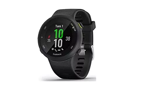 Garmin Forerunner 45 - Reloj GPS para Correr de Diseño Estilizado con Amplias Funciones de Carrera