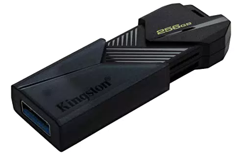 Kingston DataTraveler Exodia Onyx Memoria Flash USB 3.2 Gen 1 DTXON/256GB: con Elegante capuchón móvil