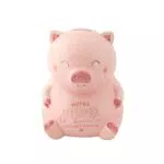Mr. Wonderful WOA10323ES Hucha Cerdito para Todo lo Bonito que nos Espera Rosa