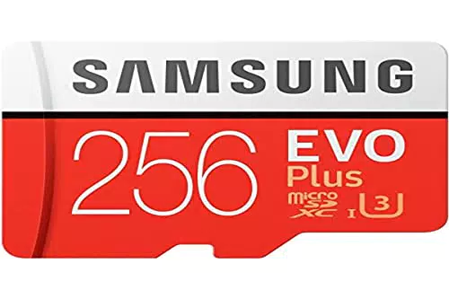 Samsung EVO Plus 2020-256 GB MicroSDXC Clase 10 UHS-I 100 MB/s 90 MB/s