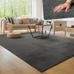 Paco Home Alfombra para la Sala de Estar Unicolor Lavable Suave Pila Corta