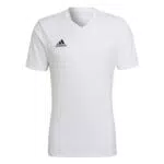 adidas Entrada 22, Camiseta de mangas corta Hombre, Blanco