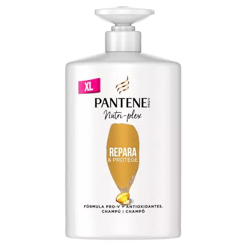 Pantene Champú Repara y Protégé, Para Pelo Seco y Dañado