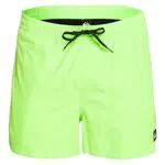 Short de Natación para Hombre Quiksilver Everyday 15