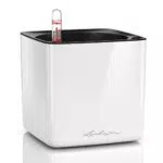 Maceta LECHUZA CUBE Glossy 14 con Sistema de Riego - Blanco Brillante