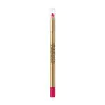 Perfilador de Labios Max Factor Colour Elixir - Rosy Berry