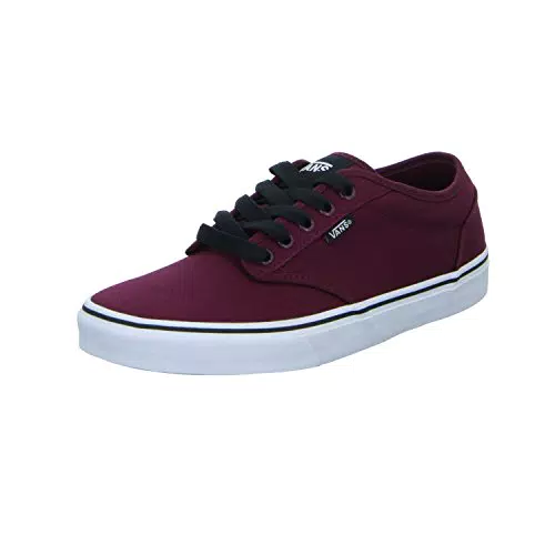 Zapatillas Vans Atwood para Hombre
