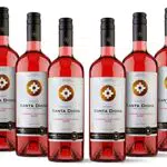 Miguel Torres Santa Digna Rosé - Vino Rosado 75 cl