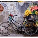 Educa Puzzle Bicicleta con Flores - Incluye Pegamento Fix Puzzle para Adultos