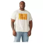 Levi's Camiseta de Ajuste Relajado Big SS Plus Archival 2hp para Hombre