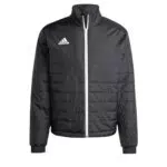 Chaqueta Aislante Adidas Mens Ent22 Ljkt