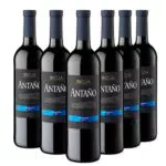 Antaño Crianza - Vino Tinto D.O. Rioja